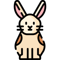 Rabbit icon