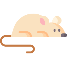 maus icon