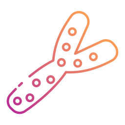 Cholesterol icon