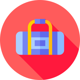 Bag icon