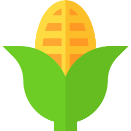 Corn icon