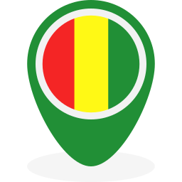 guinea icon