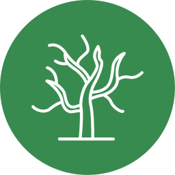 trockener baum icon