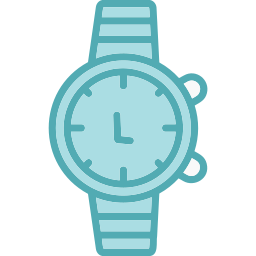 Wristwatch icon