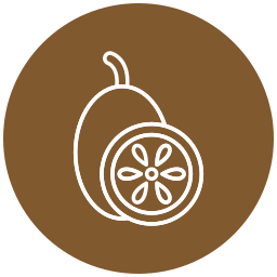 Kiwi icon