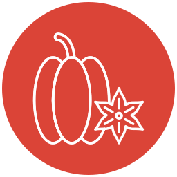 Carambola icon