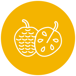 Cherimoya icon