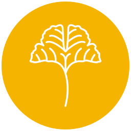 Ginkgo icon