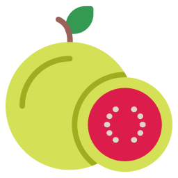 Guava icon