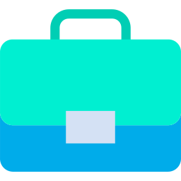 Portfolio icon