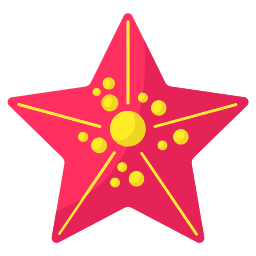 Starfish icon