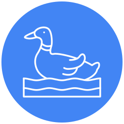 Duck icon