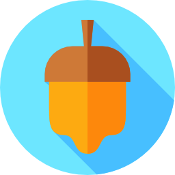 Acorn icon