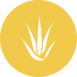 Aloe vera icon