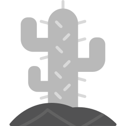 kaktus icon