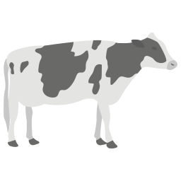 vaca Ícone