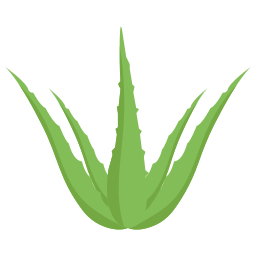 aloe vera Icône