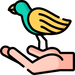 Bird icon