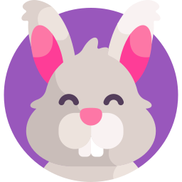 Rabbit icon