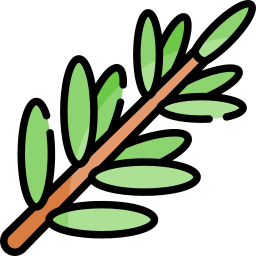 Rosemary icon