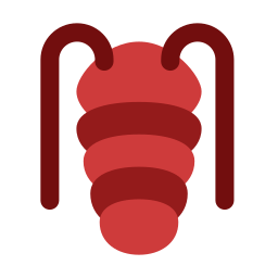 trilobite Ícone