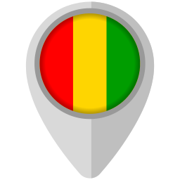 guinea icon