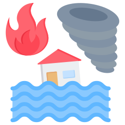 natural disaster icon