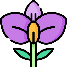 orchidee icon