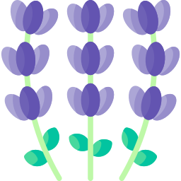 lavendel icon