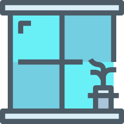 Window icon