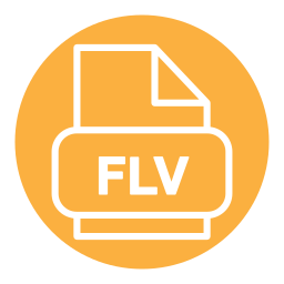 flv icon