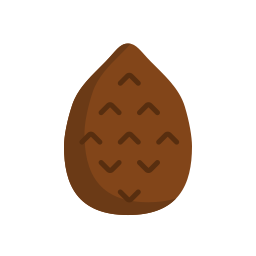 Salak icon