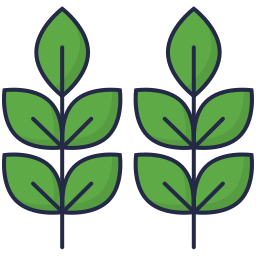 Leaf icon