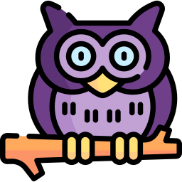 Owl icon