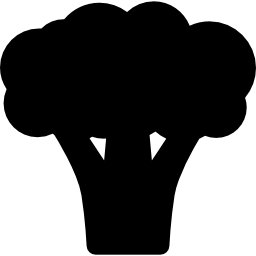 Broccoli icon