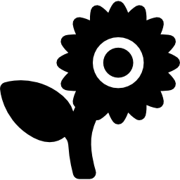 Sunflower icon