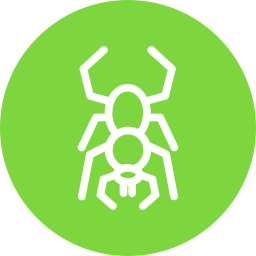 Spider icon