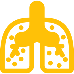 Lungs icon