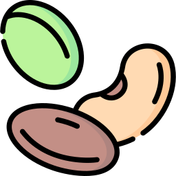 Seed icon