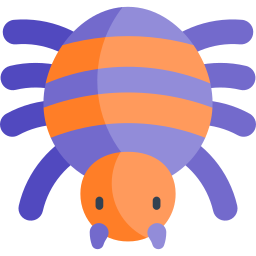 spinne icon