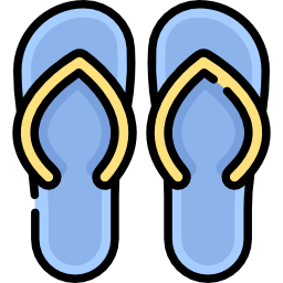 Flip flops icon