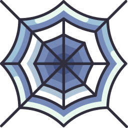 Spider web icon