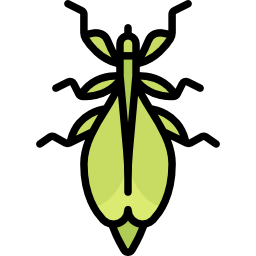 Leaf insect icon