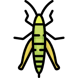 Grasshopper icon