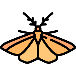 Moth icon