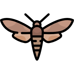 Bug icon