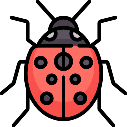 coccinelle Icône