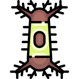 Caterpillar icon