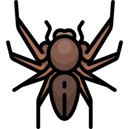 Spider icon