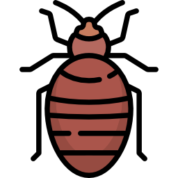 Bedbug icon